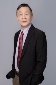 色情网