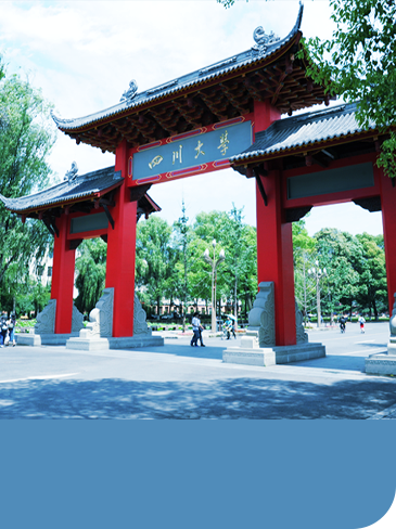 色情网